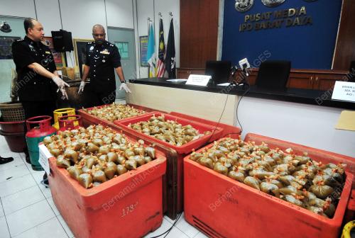 PG05_13042018_BUNGKUSAN