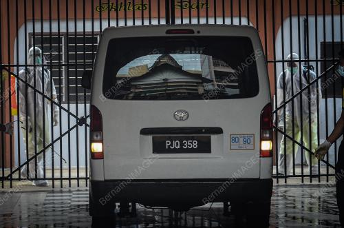 PENJARA_PKPD