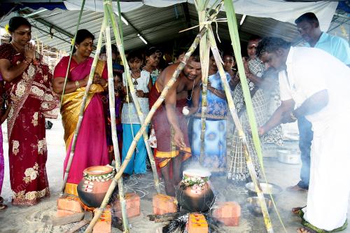 PG05_15012011_PESTA_PONGGAL