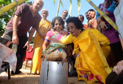 PERAYAAN PONGGAL