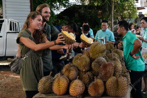 PAKEJ DURIAN TOURISM 2022