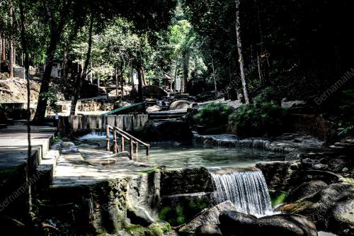 TAMAN RIMBA TELUK BAHANG
