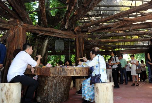 PG05_16012015_RESTORAN_KAYU