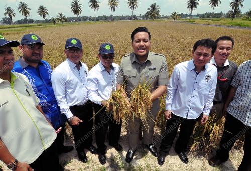 PG05_16082018_SAWAH