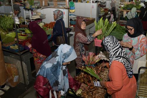 PANTAU_HARGA