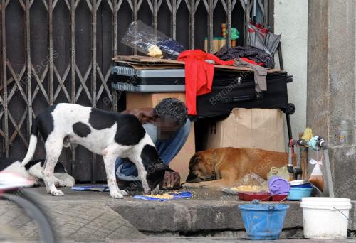 PG05_17122014_PENGEMIS_ANJING