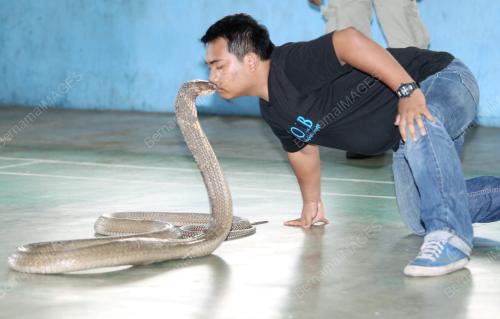 PG05_18022013_TEDUNG_SELAR