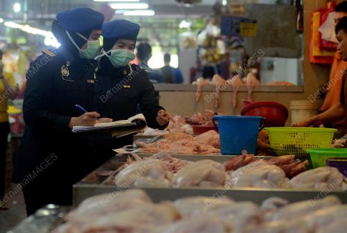 KPNHEP PEMANTAUAN HARGA AYAM