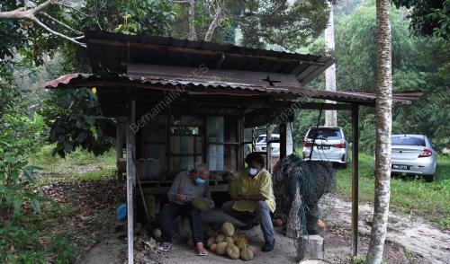 PEDAGANG PERMATA JUAL DURAN
