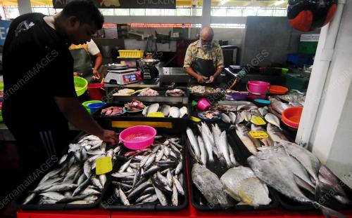PG05_18102016_TINJAU_IKAN