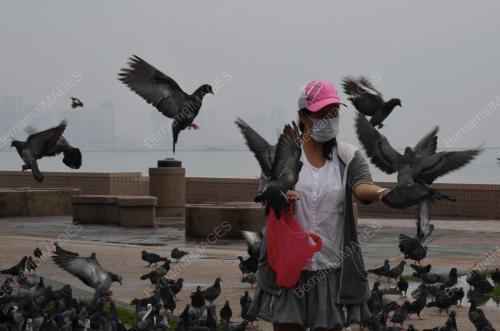 PG05_20092019_JEREBU_BURUNG_BN201902251564