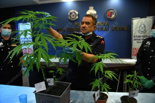 ACP NOORZAINY MOHD NOOR