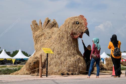 PESTA PADI ANTARABANGSA PULAU PINANG