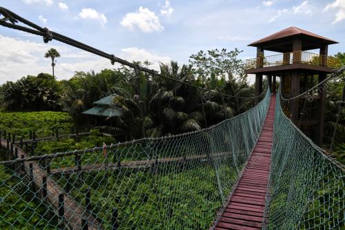 HUTAN PAYA AIR TAWAR