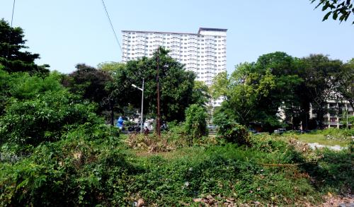 PG05_25062012_TANAH