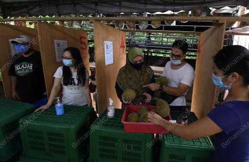 PENJUAL DURIAN PATUHI SOP