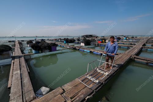 SANGKAR IKAN