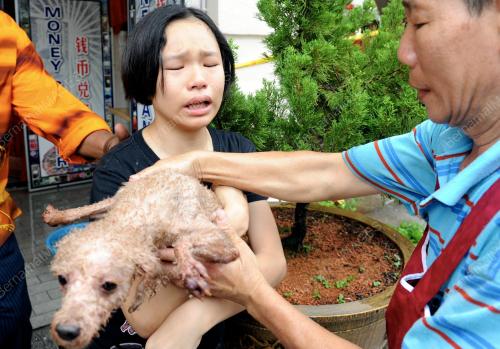PG05_28042012_ANJING_SELAMAT