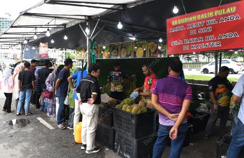 MUSIM DURIAN