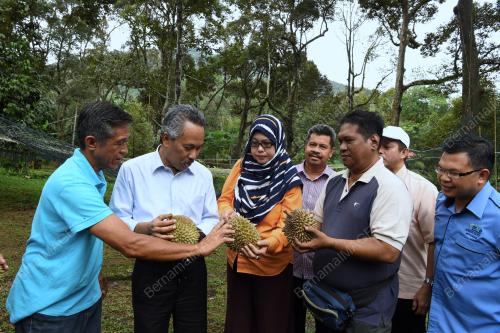 PG05_30042018_PETANI_FAMA_BN201804256435