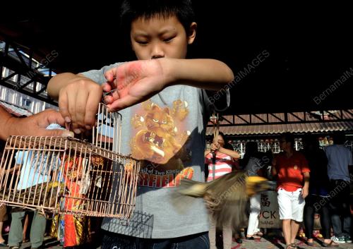 PG05_31012014_LEPAS_BURUNG