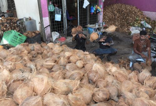 PG06_01022012_BUAH_KELAPA