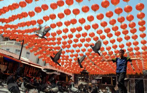 PG06_01022016_BURUNG