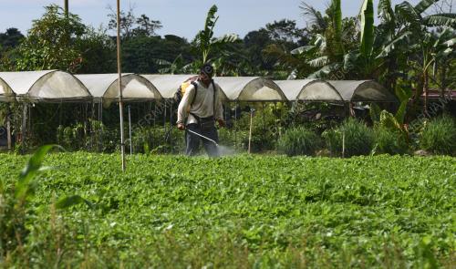 RACUN SERANGGA NAIK HARGA