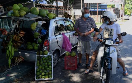JUAL BUAH GUNA KERETA