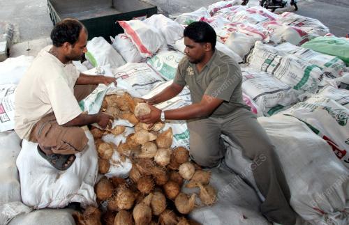 BUAH KELAPA
