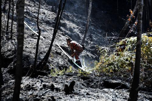 KEBAKARAN_HUTAN