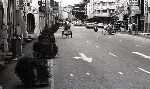 POKOK HIASAN