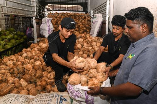 KELAPA THAIPUSAM