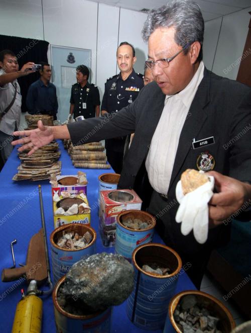 KETUA POLIS NEGERI