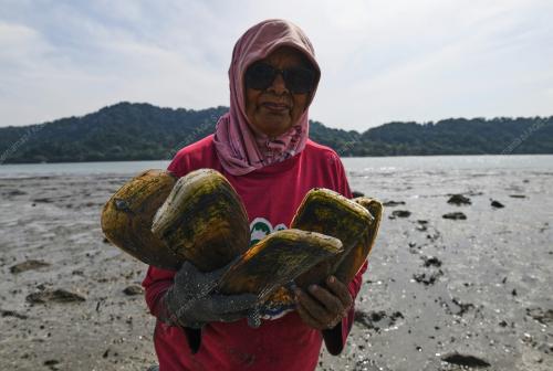 SIPUT KEMUDI