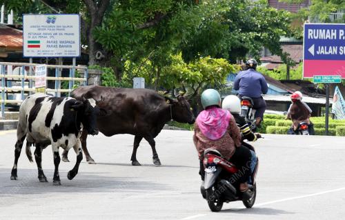 LEMBU