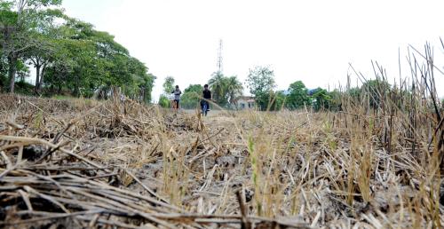 PG06_08042016_BASIKAL_SAWAH