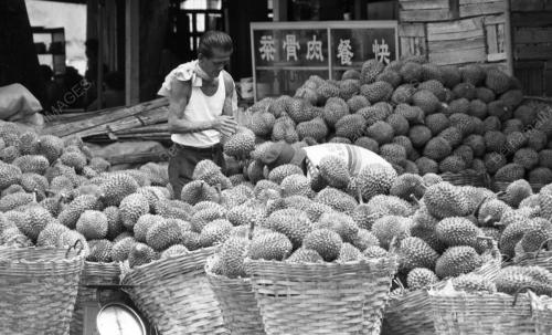 PG06_09072015_MUSIM_DURIAN
