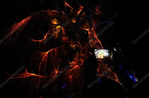 PG06_09072017_GAMBAR