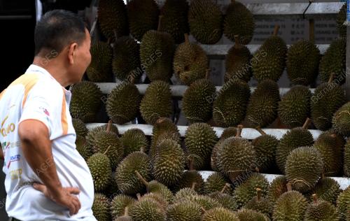 PG06_09072018_BUAH_DURIAN