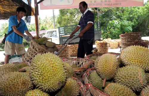 PG06_11062013_DURIAN