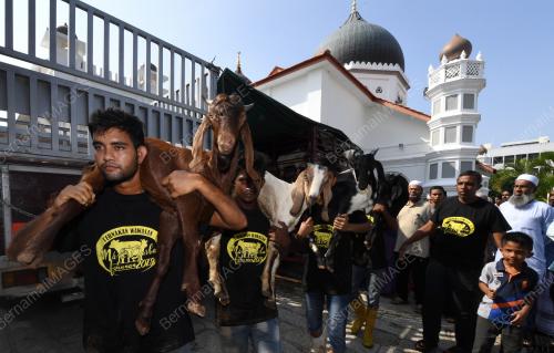 PG06_11082019_KORBAN_KAMBING_BN201908107728