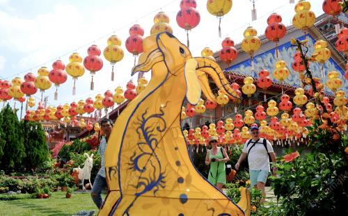 PG06_13022015_TANGLUNG_KAMBING