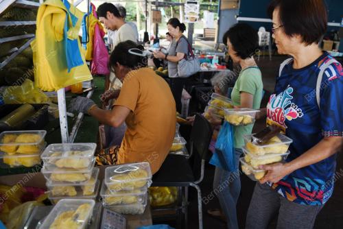 BALIK PULAU SYURGA DURIAN