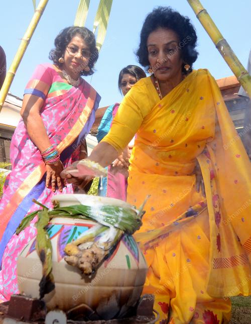 PERAYAAN PONGGAL