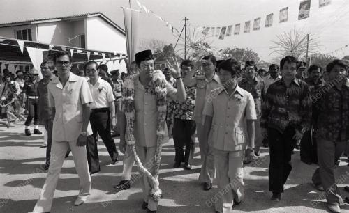 MUSA HITAM
