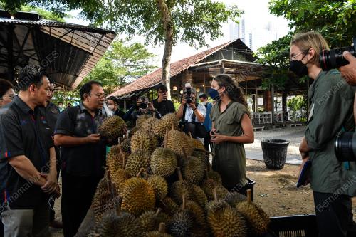 PAKEJ DURIAN TOURISM 2022