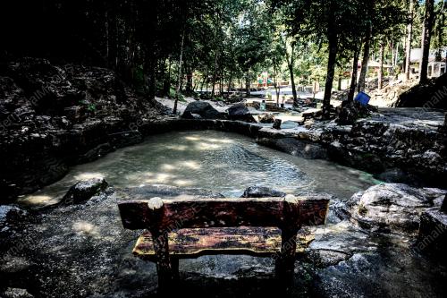TAMAN RIMBA TELUK BAHANG