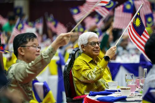 TUN AHMAD FUZI ABDUL RAZAK