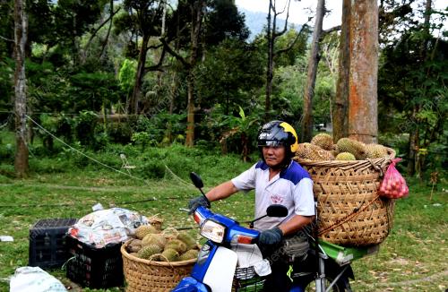 PG06_18072018_MOTOSIKAL_DURIAN